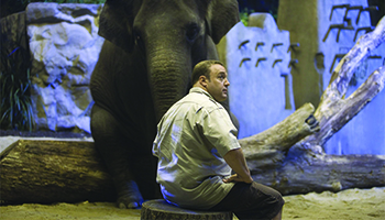 Kevin James in "Zookeeper"