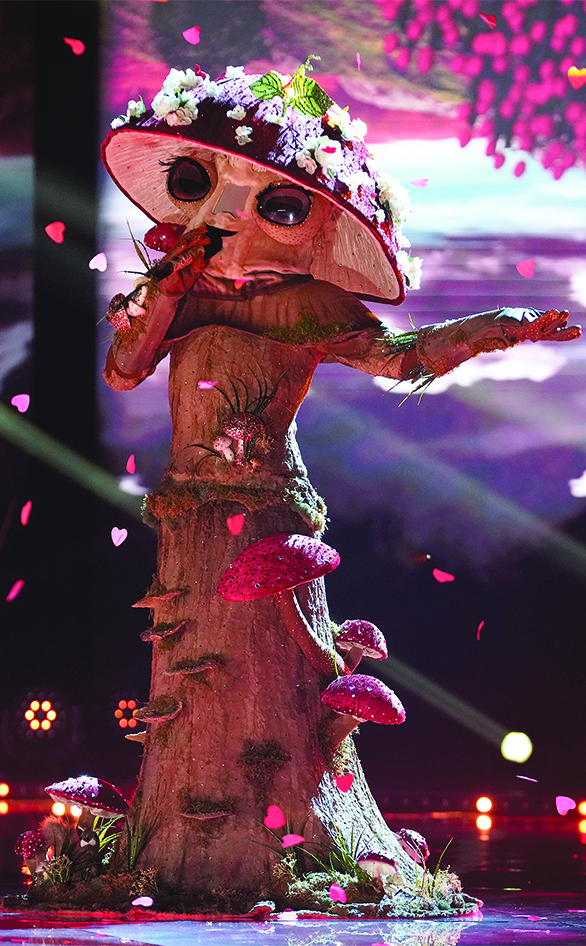 The Mushroom from "The Masked Singer"