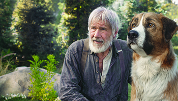 Harrison Ford in "The Call of the Wild"